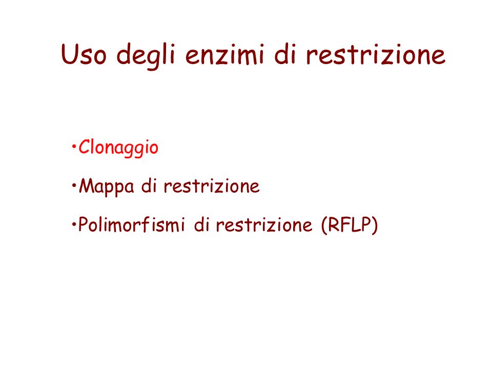 Uso degli enzimi di restrizione Clonaggio Mappa di restrizione Polimorfismi di restrizione (RFLP)