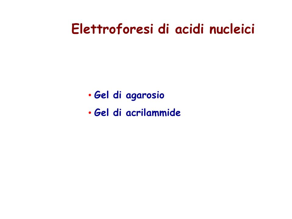 Elettroforesi di acidi nucleici Gel di agarosio Gel di acrilammide