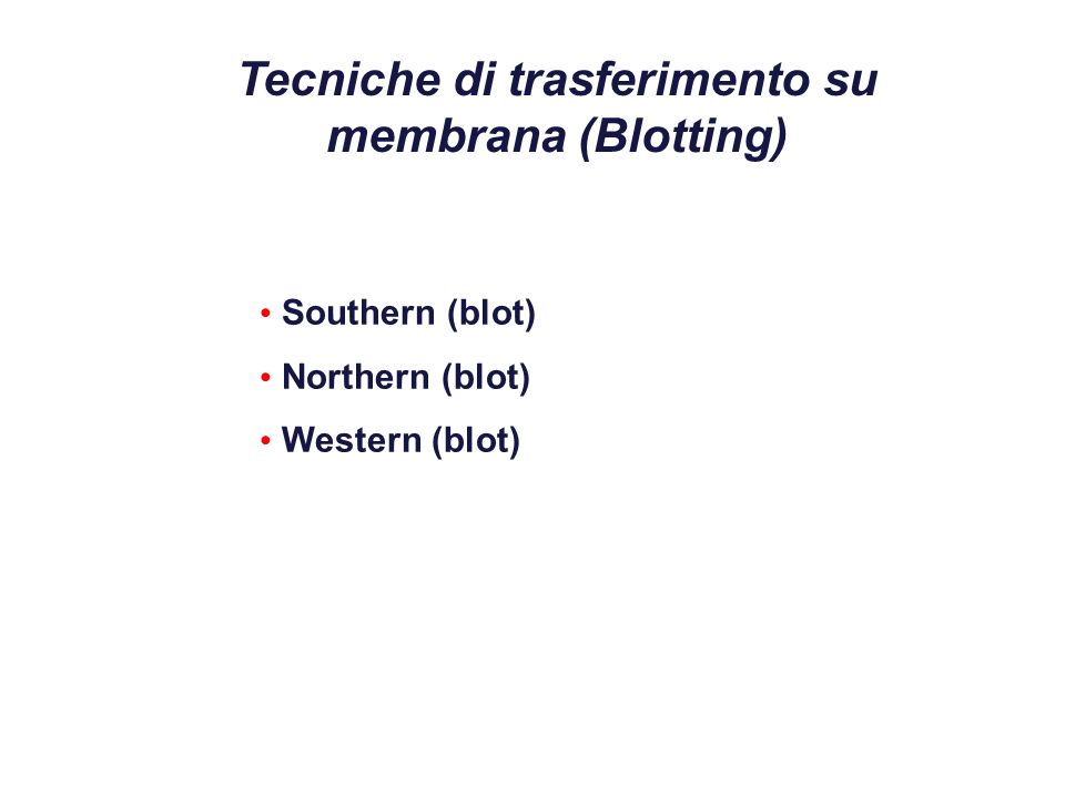 Tecniche di trasferimento su membrana (Blotting) Southern (blot) Northern (blot) Western (blot)