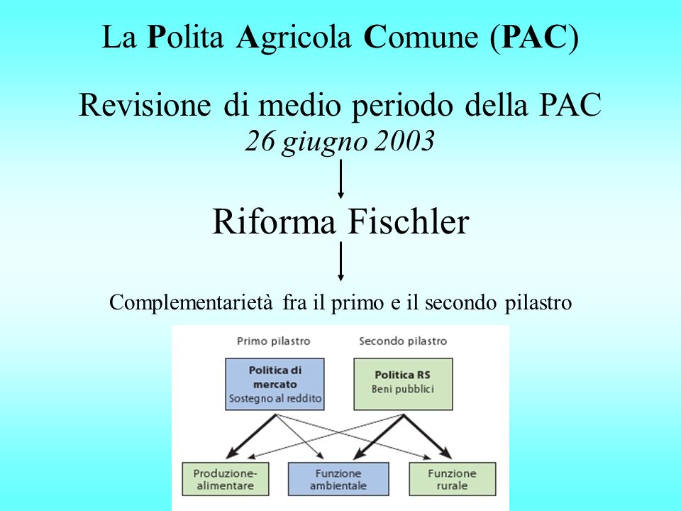 Riforma Fischler Revisione di medio periodo della PAC 26 giugno 2003 La Polita Agricola Comune (PAC) Complementarietà fra il primo e il secondo pilastro
