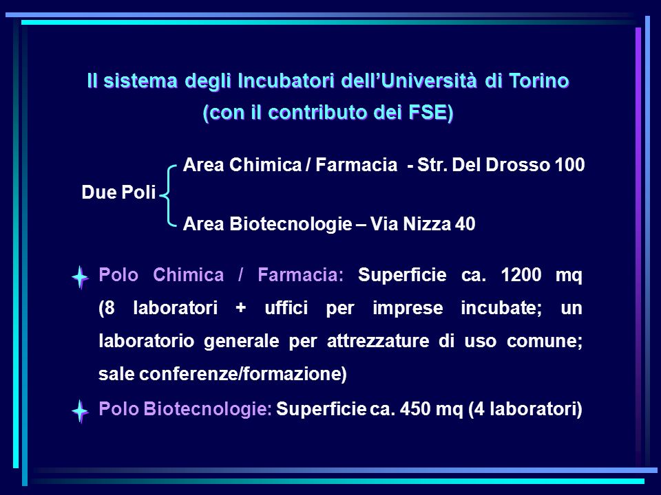 Il sistema degli Incubatori dellUniversità di Torino (con il contributo dei FSE) Polo Chimica / Farmacia: Superficie ca.