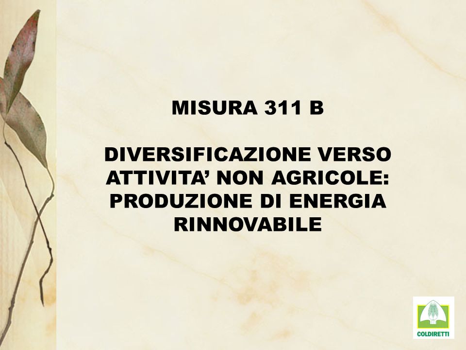MISURA 311 B DIVERSIFICAZIONE VERSO ATTIVITA NON AGRICOLE: PRODUZIONE DI ENERGIA RINNOVABILE