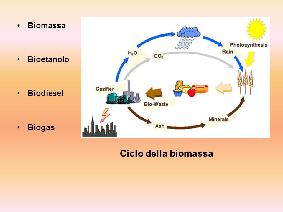 Biomassa Bioetanolo Biodiesel Biogas Ciclo della biomassa