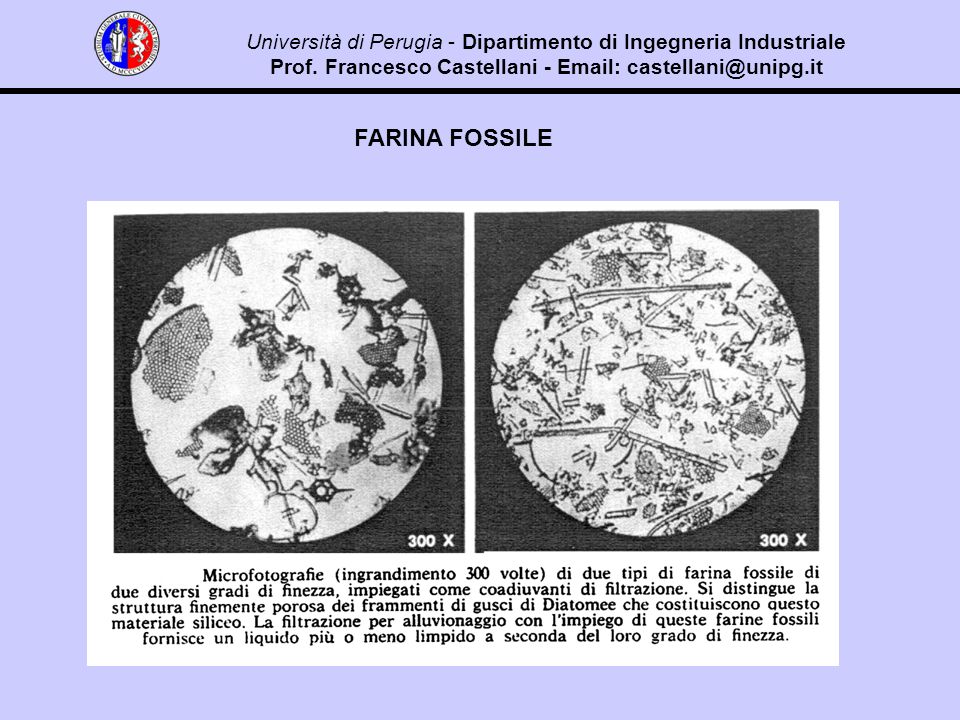 FARINA FOSSILE Università di Perugia - Dipartimento di Ingegneria Industriale Prof.