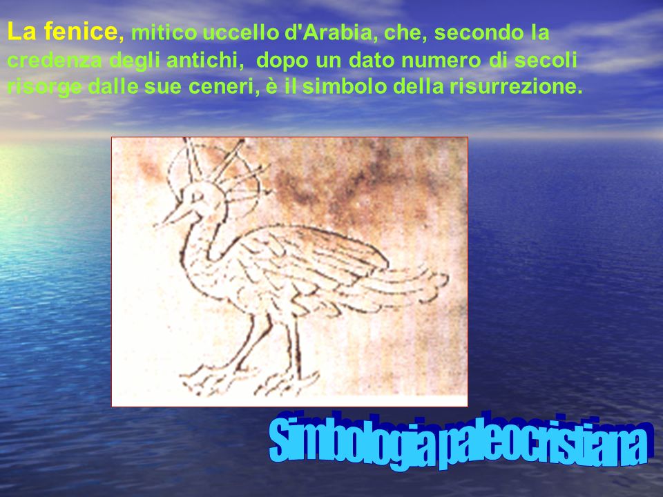 La fenice, mitico uccello d Arabia, che, secondo la credenza degli antichi, dopo un dato numero di secoli risorge dalle sue ceneri, è il simbolo della risurrezione.