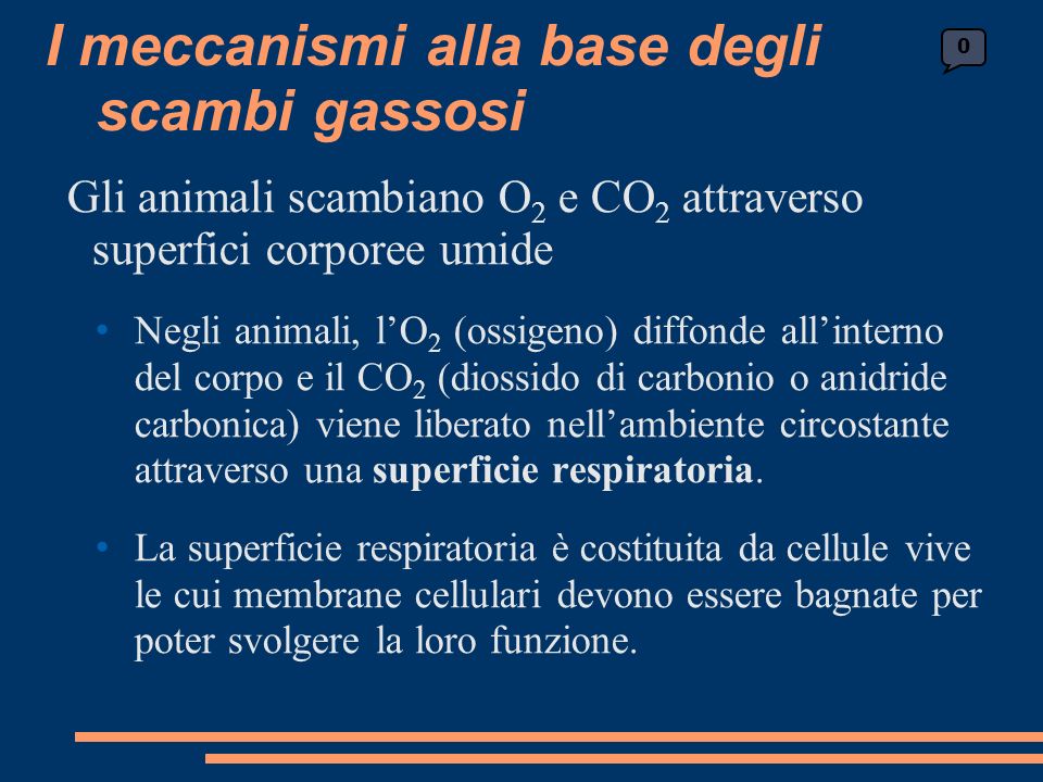 Gli animali scambiano O 2 e CO 2 attraverso superfici corporee umide Negli animali, lO 2 (ossigeno) diffonde allinterno del corpo e il CO 2 (diossido di carbonio o anidride carbonica) viene liberato nellambiente circostante attraverso una superficie respiratoria.