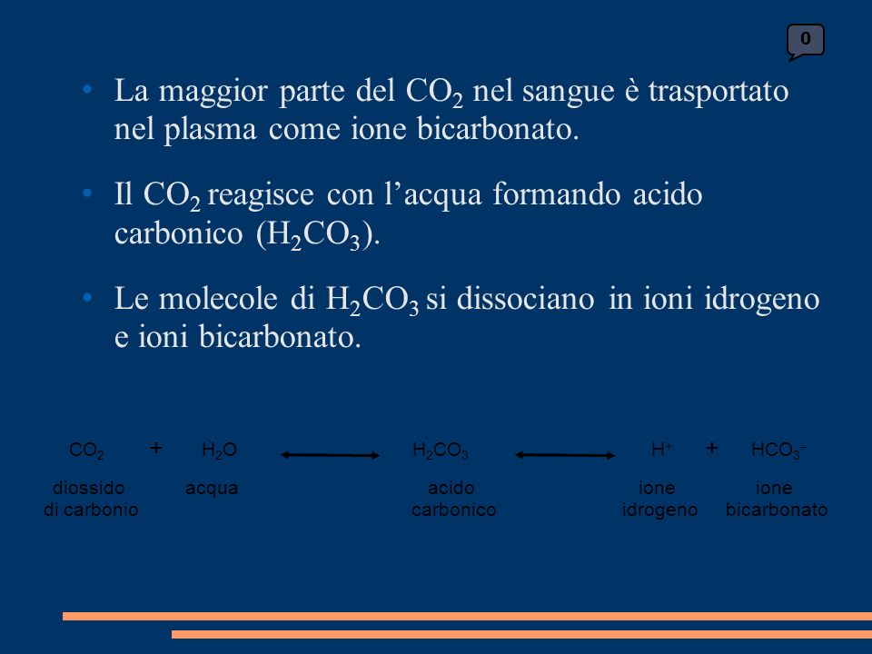 La maggior parte del CO 2 nel sangue è trasportato nel plasma come ione bicarbonato.