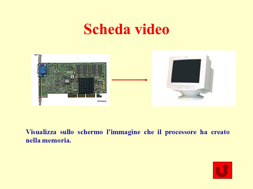 Scheda video Visualizza sullo schermo limmagine che il processore ha creato nella memoria.