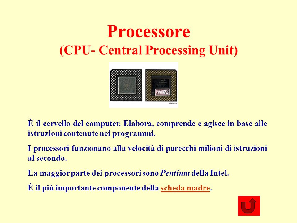 Processore (CPU- Central Processing Unit) È il cervello del computer.