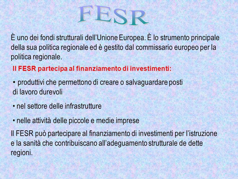 È uno dei fondi strutturali dellUnione Europea.