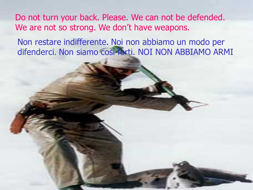 Do not turn your back. Please. We can not be defended.