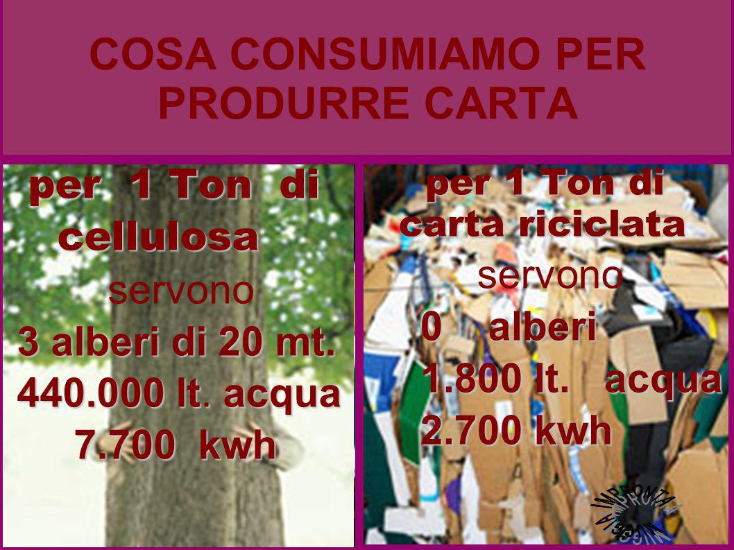 COSA CONSUMIAMO PER PRODURRE CARTA per 1 Ton di cellulosa cellulosa servono 3 alberi di 20 mt.