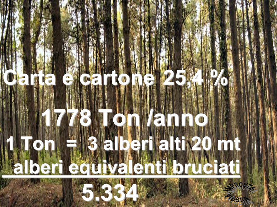 Carta e cartone 25,4 % 1778 Ton /anno 1778 Ton /anno 1 Ton = 3 alberi alti 20 mt 1 Ton = 3 alberi alti 20 mt alberi equivalenti bruciati alberi equivalenti bruciati