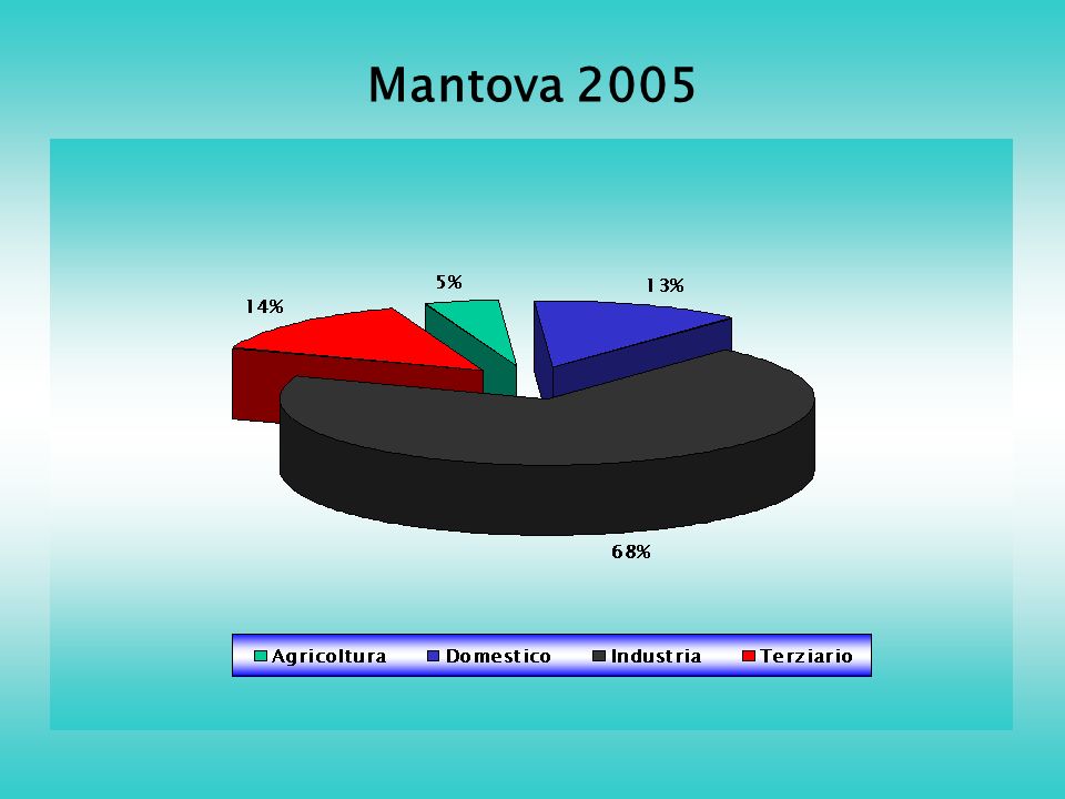 Mantova 2005