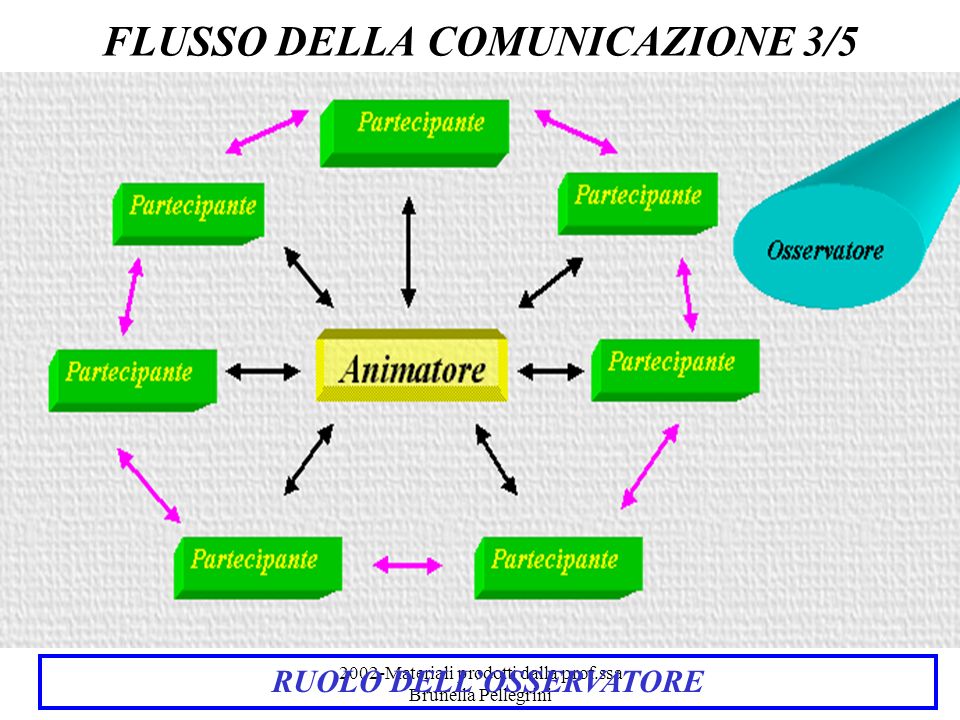 2002-Materiali prodotti dalla prof.ssa Brunella Pellegrini FLUSSO DELLA COMUNICAZIONE 3/5 RUOLO DELLOSSERVATORE