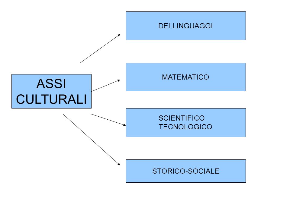 ASSI CULTURALI DEI LINGUAGGI MATEMATICO SCIENTIFICO TECNOLOGICO STORICO-SOCIALE