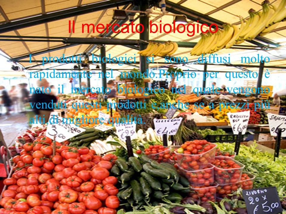 Il mercato biologico I prodotti biologici si sono diffusi molto rapidamente nel mondo.Proprio per questo è nato il mercato biologico nel quale vengono venduti questi prodotti e,anche se a prezzi più alti,di migliore qualità.