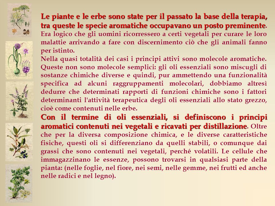 Notte Di San Giovanni Erbe E Tradizioni Spezie E Aromi Sono L Anello Di Congiunzione Fra Erboristeria E Dietetica Possiamo Definire Aromatiche Tutte Ppt Scaricare