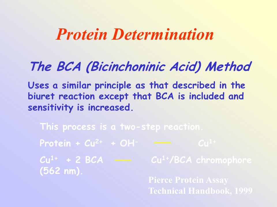 Method of determination. Bicinchoninic acid Protein Assay. Bicinchoninic acid Assay. Determination of Protein layers. Bicinchoninic acid.