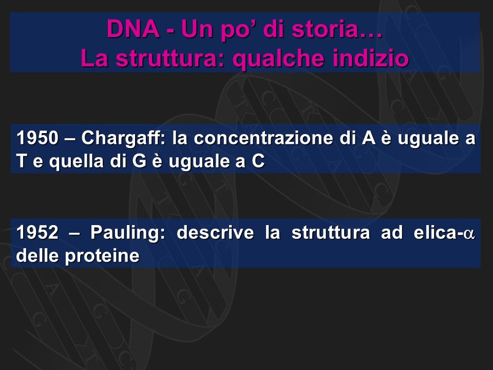 DNA - Un po’ di storia… La struttura: qualche indizio 1950 – Chargaff: la concentrazione di A è uguale a T e quella di G è uguale a C 1952 – Pauling: descrive la struttura ad elica-  delle proteine
