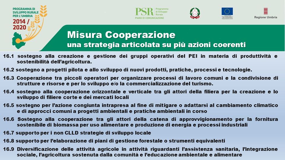 Misura Cooperazione una strategia articolata su più azioni coerenti 16.1 sostegno alla creazione e gestione dei gruppi operativi del PEI in materia di produttività e sostenibilità dell’agricoltura.