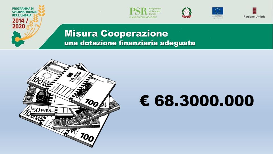 Misura Cooperazione una dotazione finanziaria adeguata €