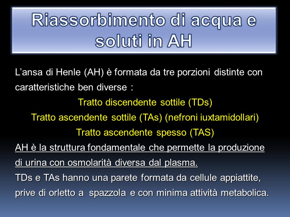 Ricordiamo Quanto Visto Escrezione Urinaria Filtrazione Glomerulare Riassorbimento Tubulare Secrezione Tubulare La Velocita A Cui Ciascuna Sostanza Ppt Scaricare