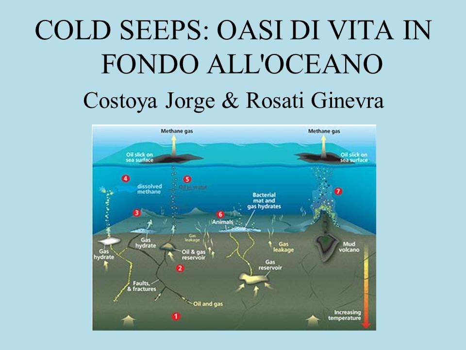 COLD SEEPS: OASI DI VITA IN FONDO ALL OCEANO Costoya Jorge & Rosati Ginevra