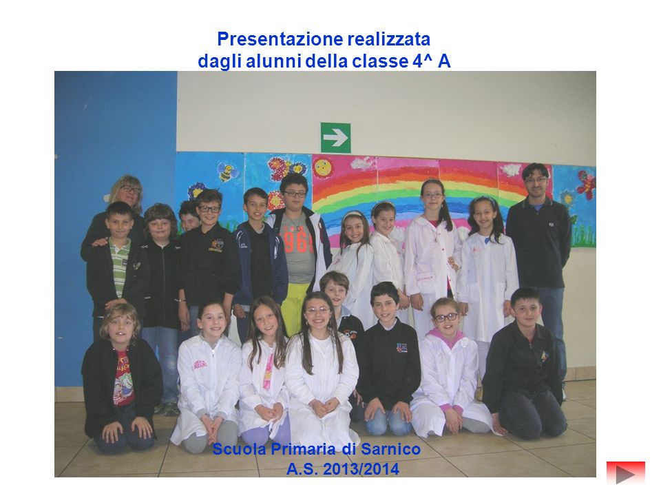 Presentazione realizzata dagli alunni della classe 4^ A Scuola Primaria di Sarnico A.S. 2013/2014