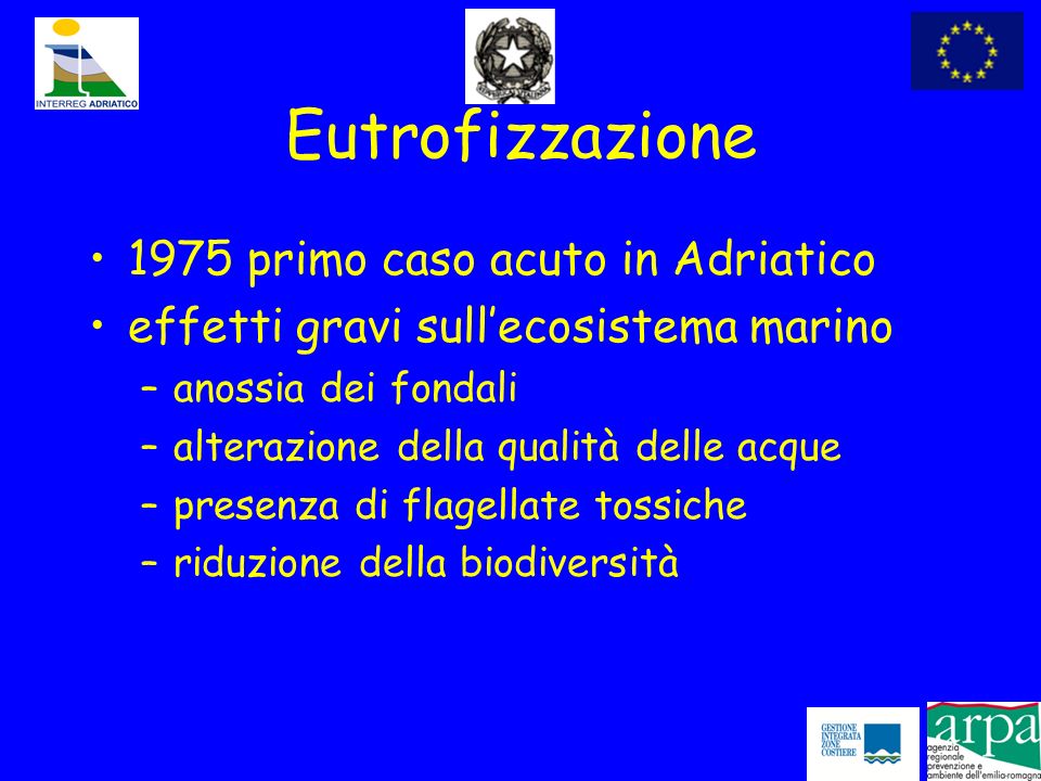 Eutrofizzazione 1975 primo caso acuto in Adriatico effetti gravi sull’ecosistema marino –anossia dei fondali –alterazione della qualità delle acque –presenza di flagellate tossiche –riduzione della biodiversità