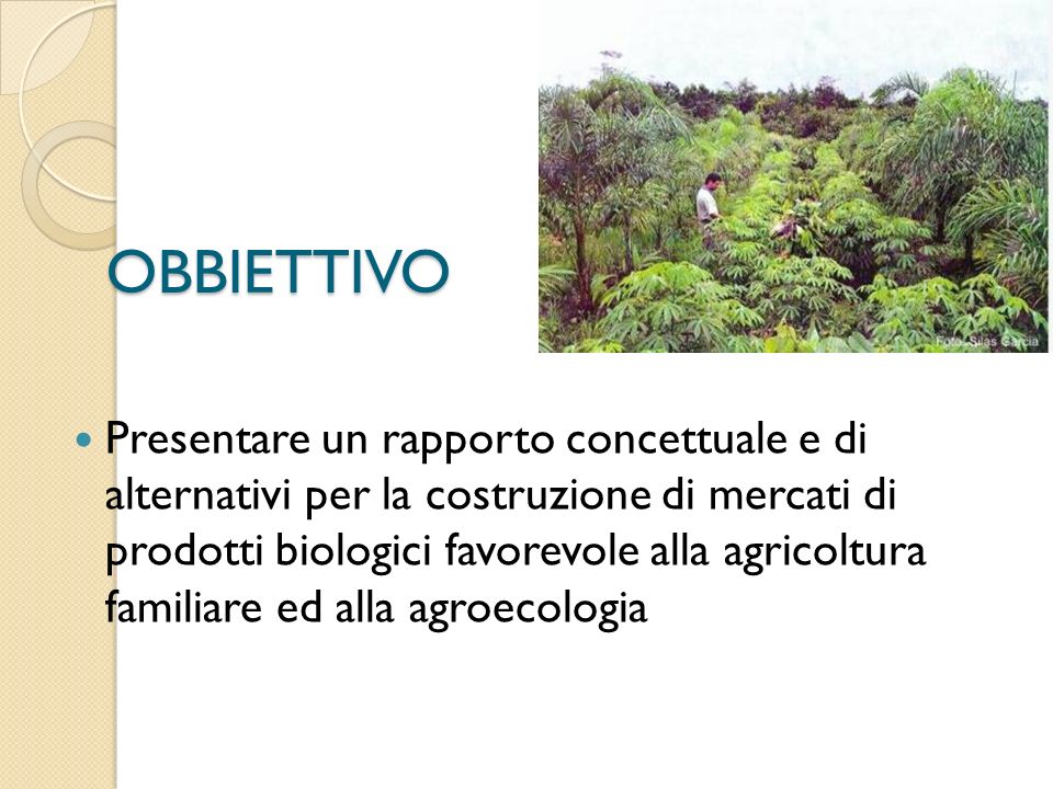 OBBIETTIVO Presentare un rapporto concettuale e di alternativi per la costruzione di mercati di prodotti biologici favorevole alla agricoltura familiare ed alla agroecologia
