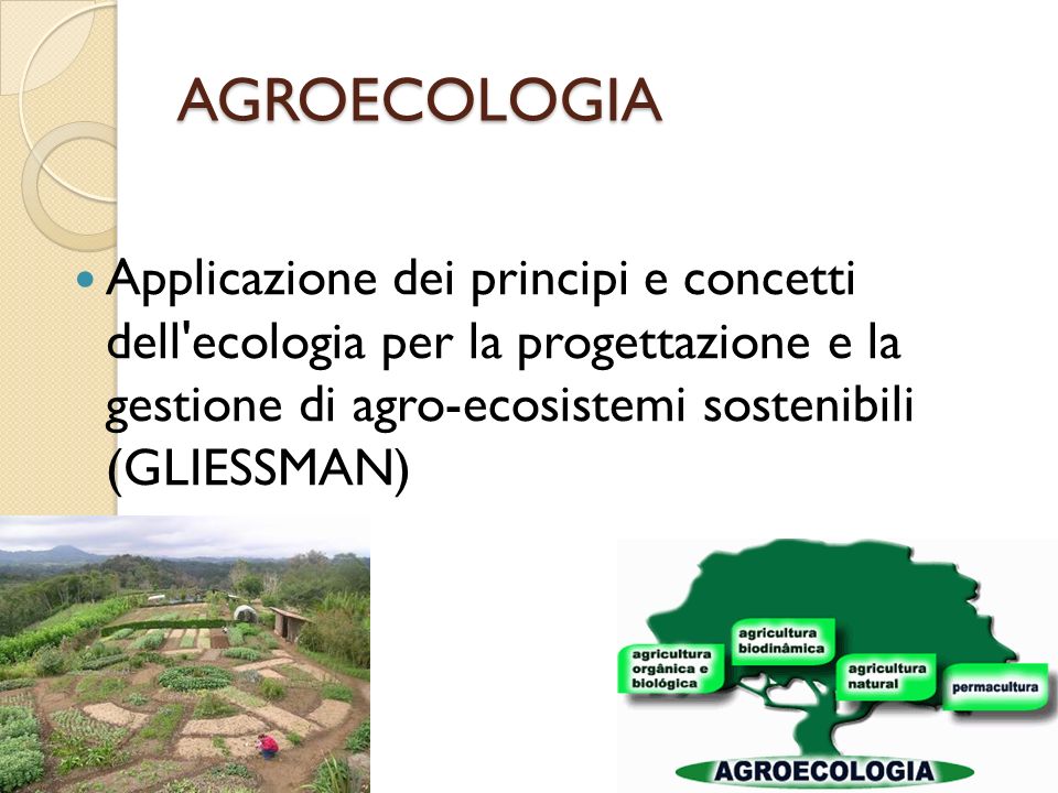 AGROECOLOGIA Applicazione dei principi e concetti dell ecologia per la progettazione e la gestione di agro-ecosistemi sostenibili (GLIESSMAN)