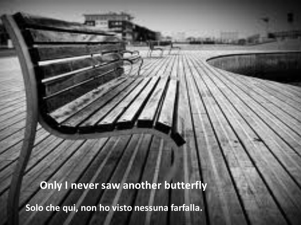 Solo che qui, non ho visto nessuna farfalla. Only I never saw another butterfly