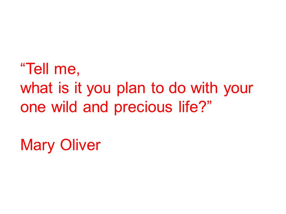 Tell me, what is it you plan to do with your one wild and precious life Mary Oliver