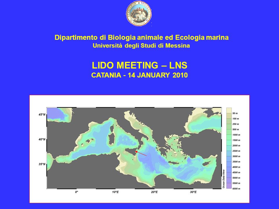 Dipartimento di Biologia animale ed Ecologia marina Università degli Studi di Messina LIDO MEETING – LNS CATANIA - 14 JANUARY 2010