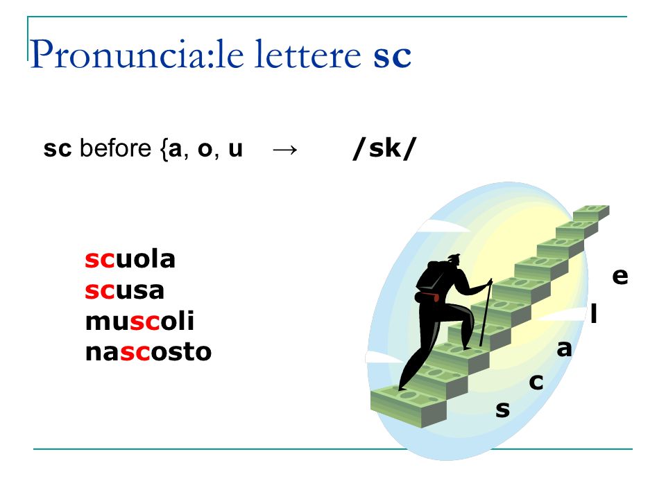 Pronuncia:le lettere sc sc before {a, o, u → /sk/ scuola scusa muscoli nascosto s c a l e