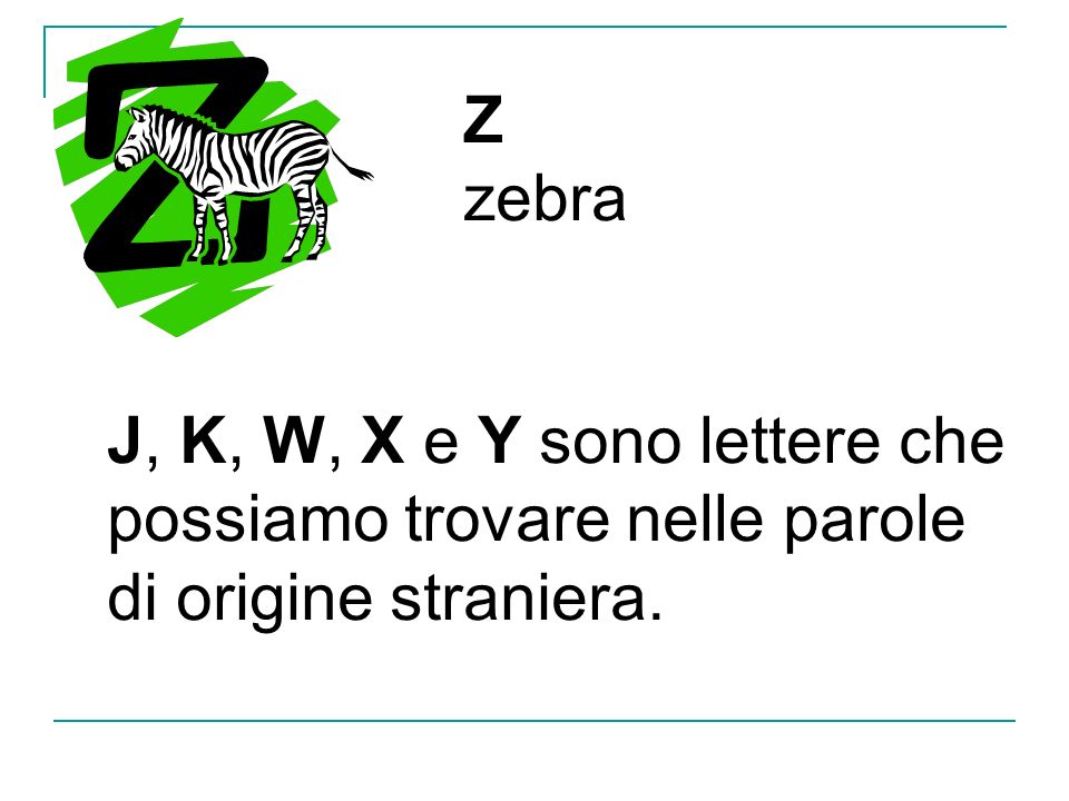 Z zebra J, K, W, X e Y sono lettere che possiamo trovare nelle parole di origine straniera.