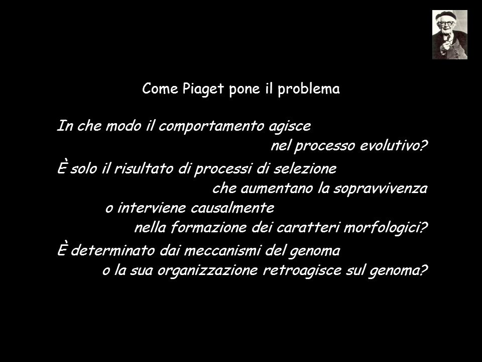 70 . GLI ESEMPI CHE GREGORY BATESON NON POTEVA FARE L evo devo L