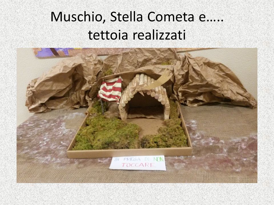 Muschio, Stella Cometa e….. tettoia realizzati