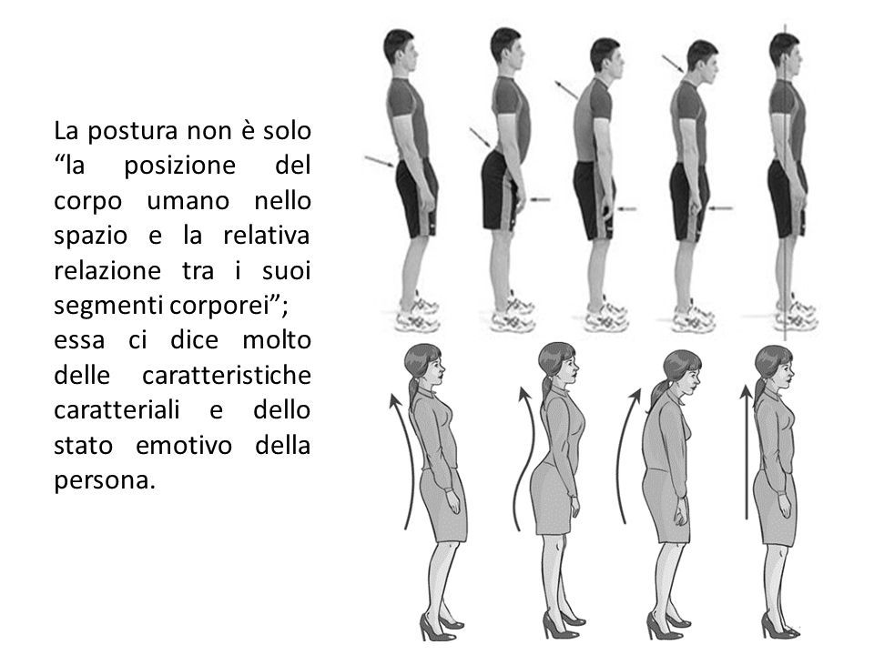 La postura non è solo la posizione del corpo umano nello spazio e la relativa relazione tra i suoi segmenti corporei ; essa ci dice molto delle caratteristiche caratteriali e dello stato emotivo della persona.