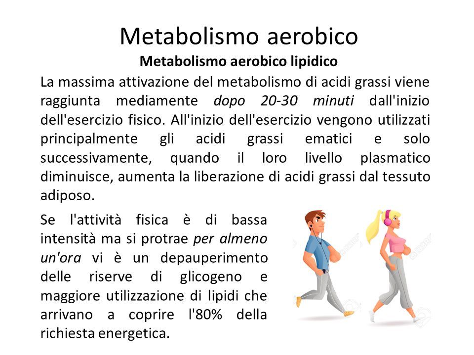 La massima attivazione del metabolismo di acidi grassi viene raggiunta mediamente dopo minuti dall inizio dell esercizio fisico.