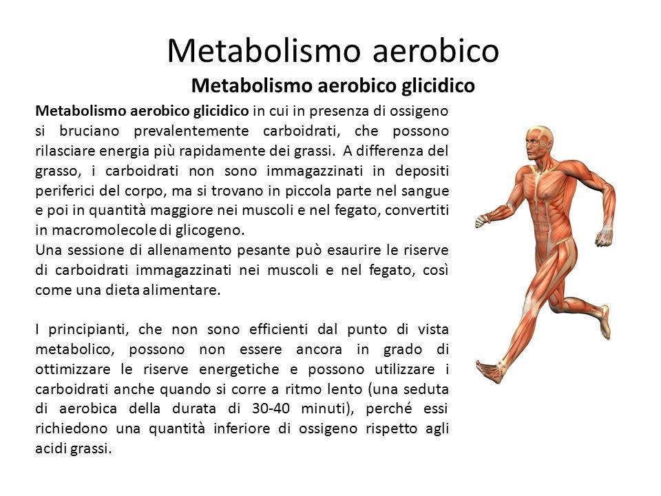 Metabolismo aerobico glicidico in cui in presenza di ossigeno si bruciano prevalentemente carboidrati, che possono rilasciare energia più rapidamente dei grassi.