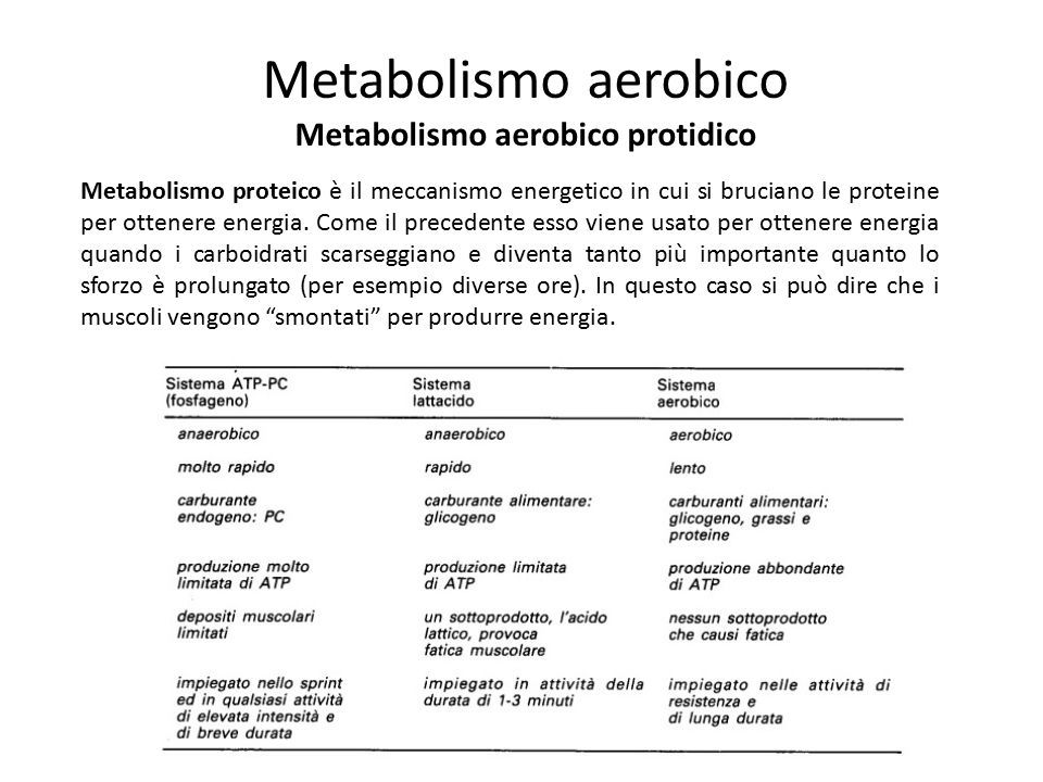 Metabolismo proteico è il meccanismo energetico in cui si bruciano le proteine per ottenere energia.