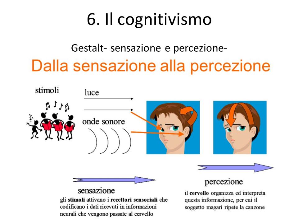 6. Il cognitivismo Gestalt- sensazione e percezione-