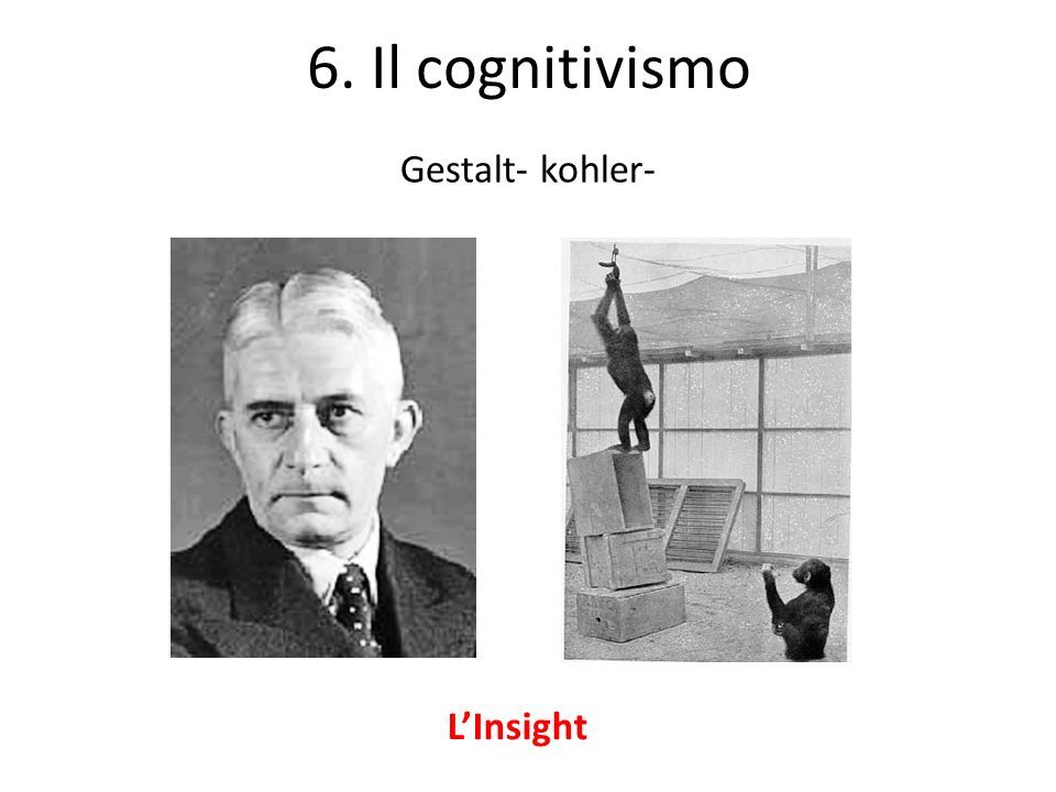 6. Il cognitivismo Gestalt- kohler- L’Insight