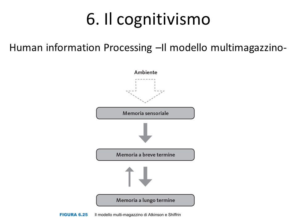 6. Il cognitivismo Human information Processing –Il modello multimagazzino-